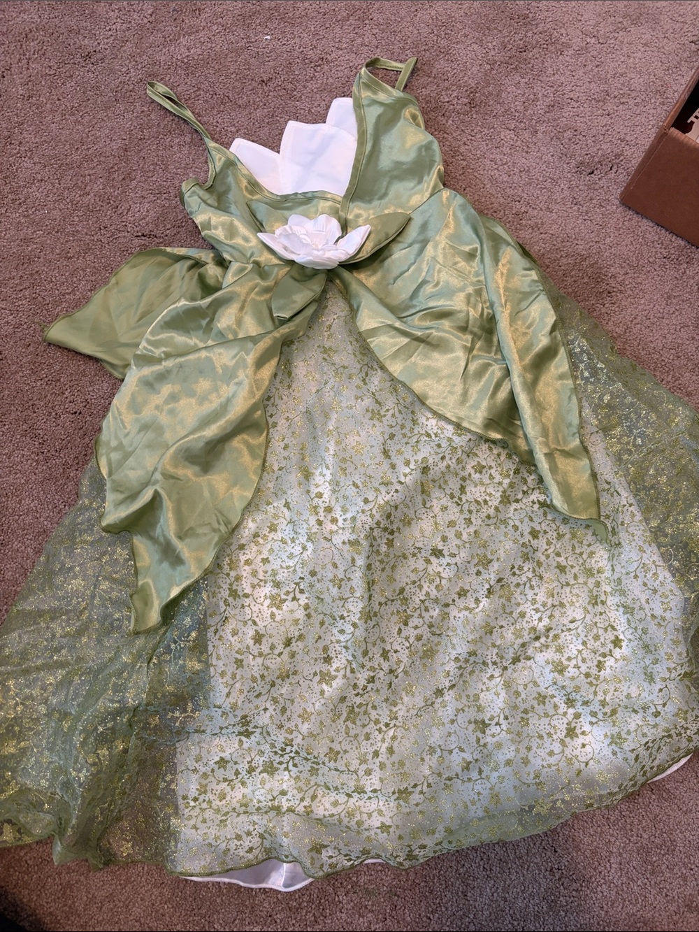 Disney’s Tiana Costume